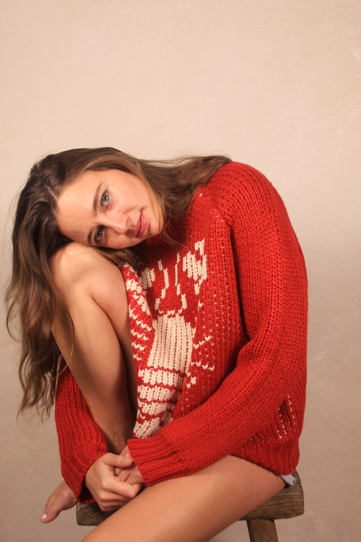Lobster Chunky Sweater