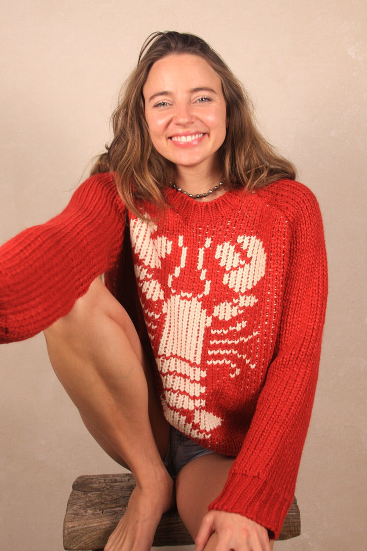 Lobster Chunky Sweater